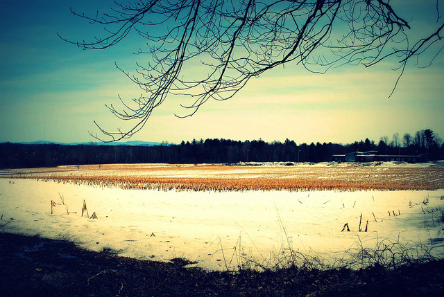 5537491867_e7a15c2aea_z