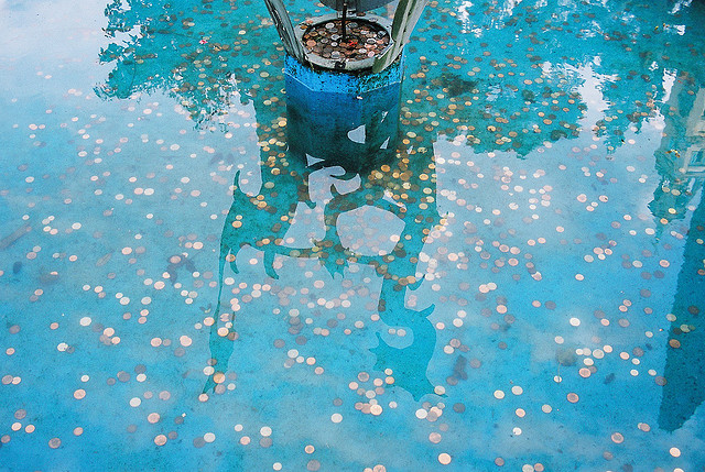 1174957045_21af1e31b6_z