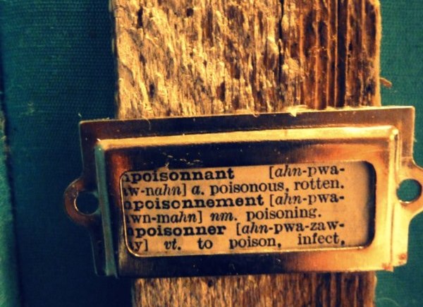 320457_4559088342587_1692889069_n